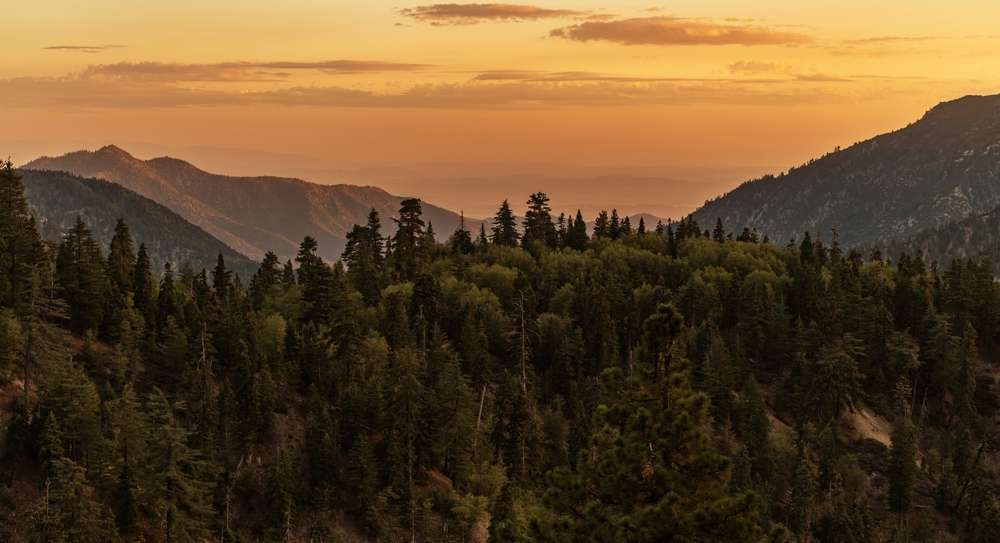 21 Bucket-List Worthy Cabins You Can Actually Rent in the U.S. 6 shutterstock 2048005499