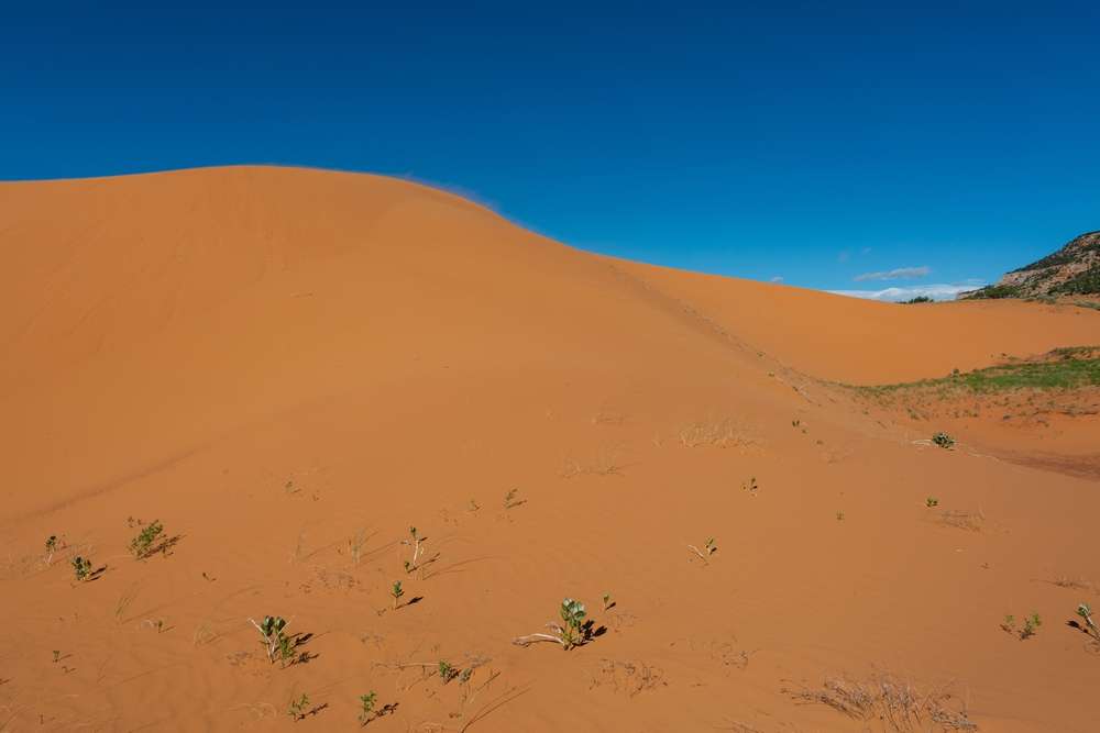 23 Strangest Places in America You Can Actually Visit 14 shutterstock 2122274582