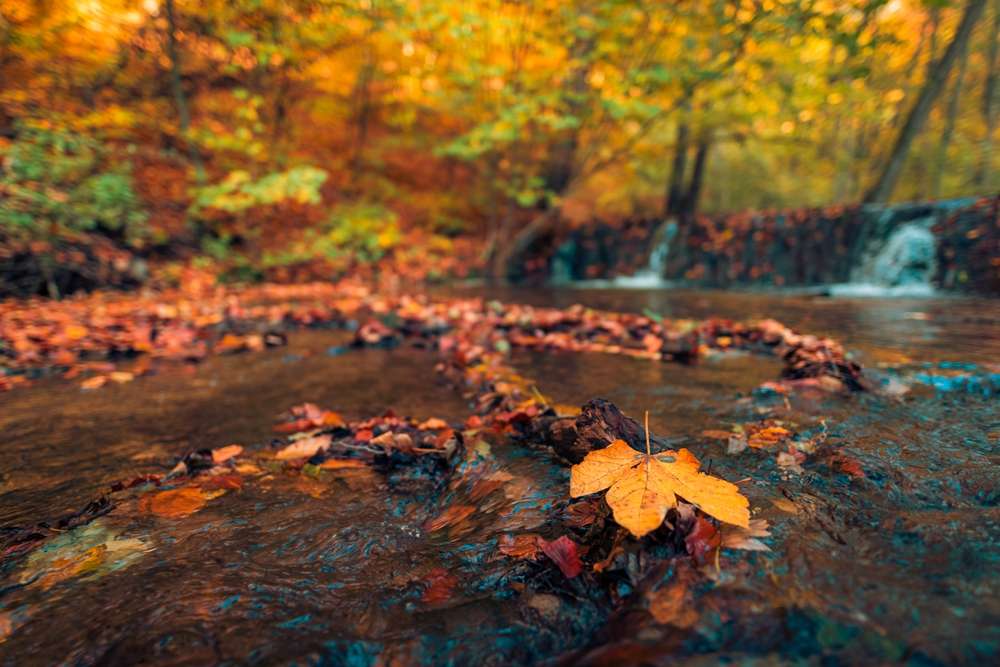 19 Places in America Where You Can Still Pan for Gold 22 19 Places in America Where You Can Still Pan for Gold