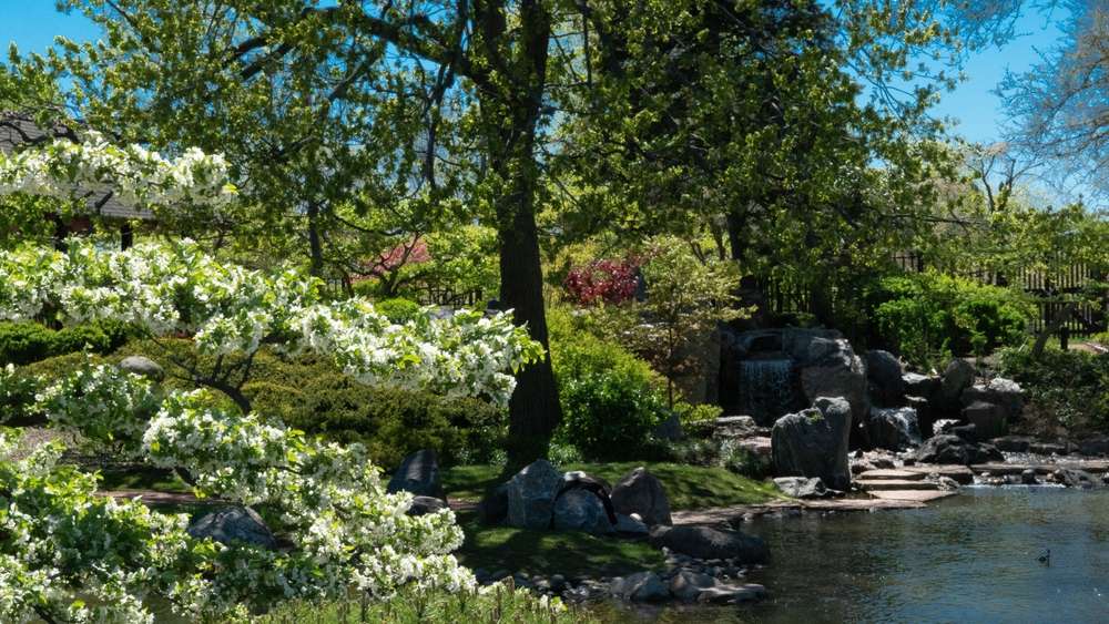 24 Beautiful U.S. Botanical Gardens You’ve Probably Never Heard Of 31 24 Beautiful U.S. Botanical Gardens You’ve Probably Never Heard Of