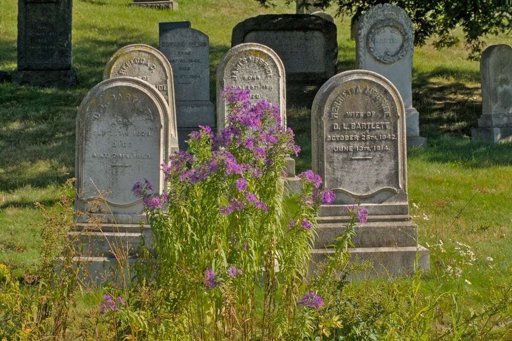 19 Beautiful Cemeteries in the U.S. You Didn’t Know Were Tourist Spots 19 shutterstock 2288563289