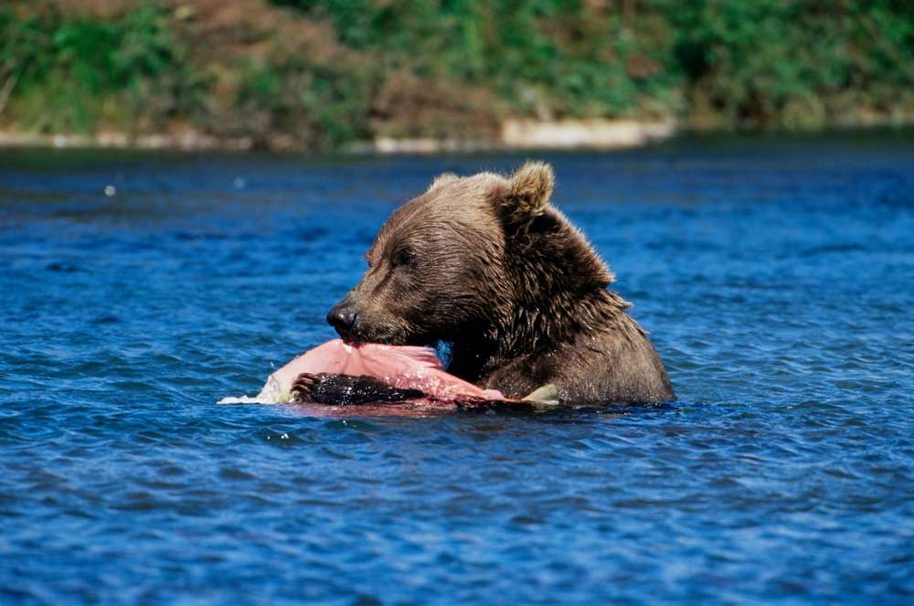 22 U.S. Camping Spots So Remote Your Phone Gives Up Completely 22 shutterstock 2427891995 2