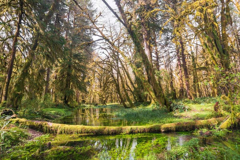 23 Beautiful U.S. Destinations You've Probably Never Heard Of 20 shutterstock 2452464459
