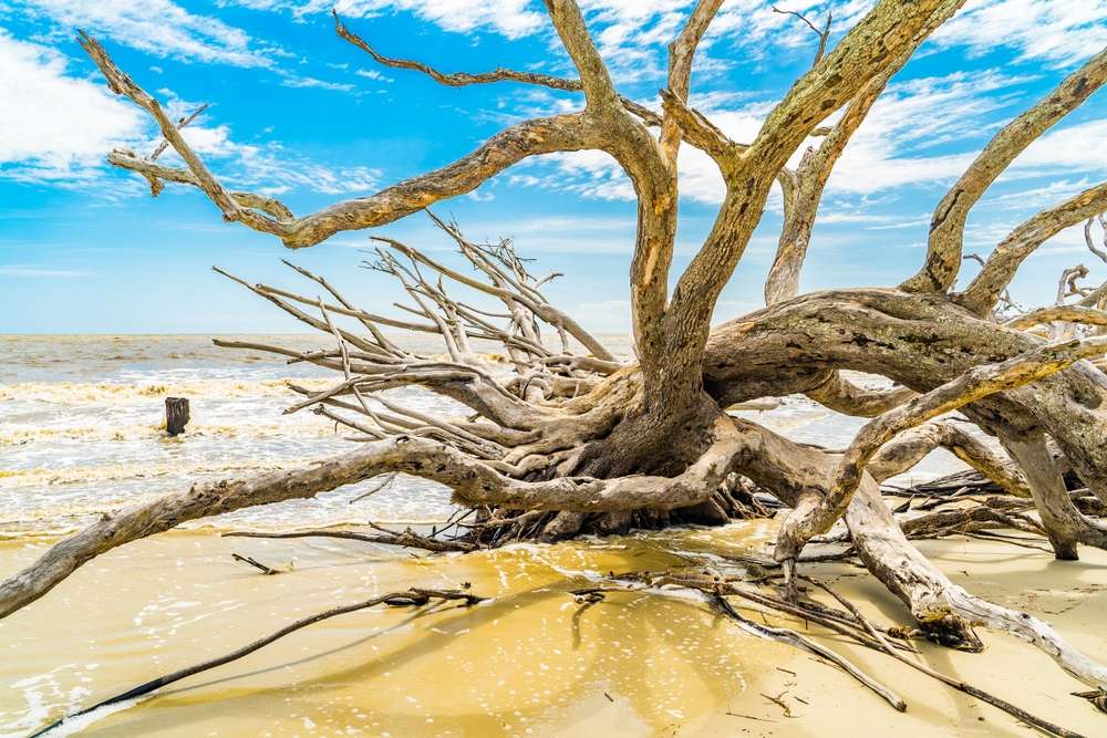 25 American Hidden Gems That Feel Too Magical to Still Be a Secret 3 shutterstock 2480465939