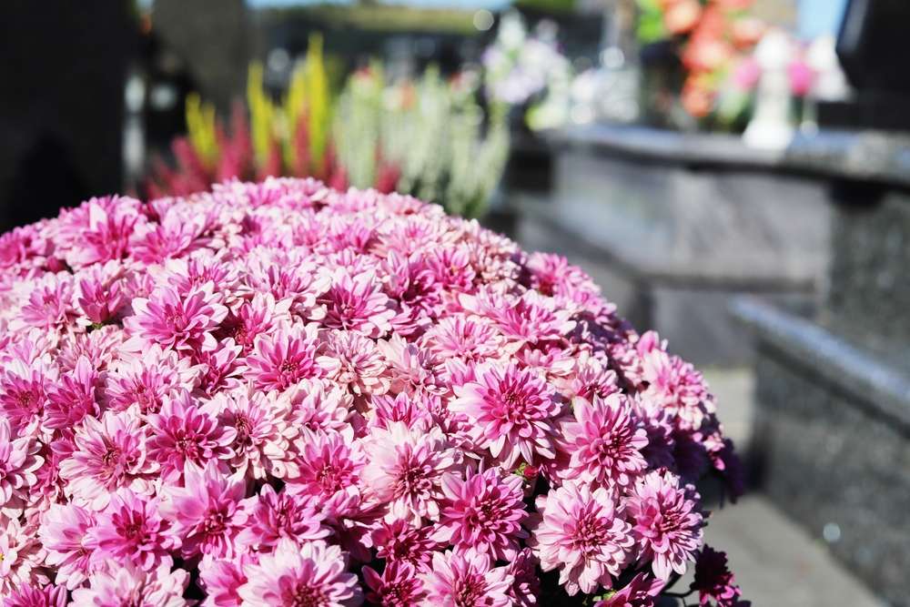 19 Beautiful Cemeteries in the U.S. You Didn’t Know Were Tourist Spots 9 shutterstock 2500295615