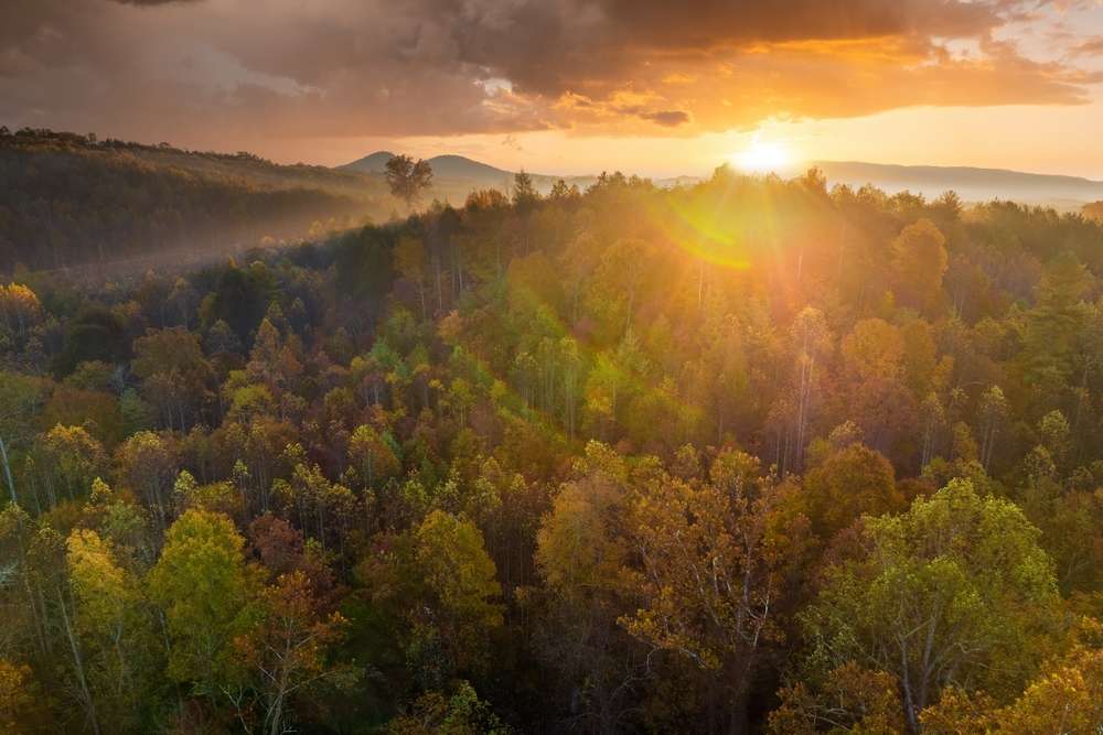 23 Spooky Forests in the U.S. With Dark Local Legends 21 23 Spooky Forests in the U.S. With Dark Local Legends
