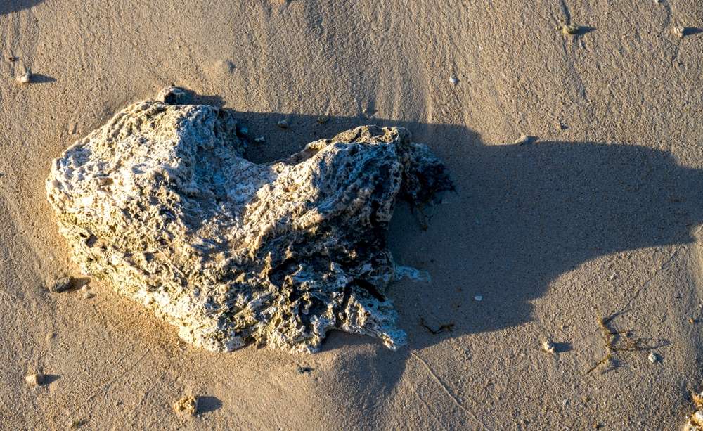 23 Strangest Places in America You Can Actually Visit 3 shutterstock 2553387495 1