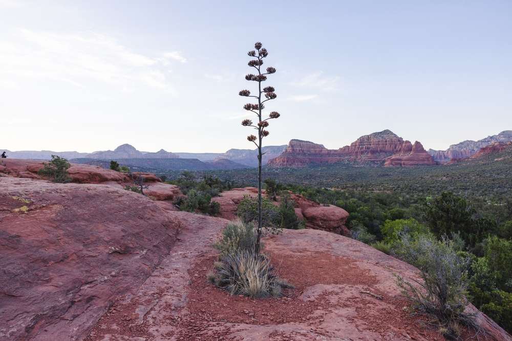 23 U.S. Destinations That Feel Like a Secret the Country’s Been Keeping 22 shutterstock 2585550211
