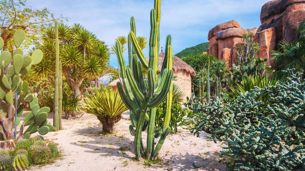 24 Beautiful U.S. Botanical Gardens You’ve Probably Never Heard Of 3 shutterstock 2602832609
