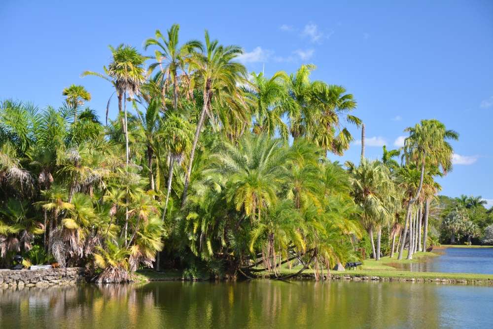 24 Beautiful U.S. Botanical Gardens You’ve Probably Never Heard Of 14 shutterstock 2683974699