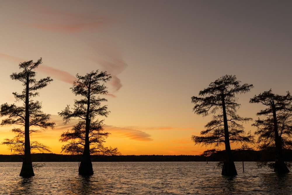 25 American Lagoons and Swamps Locals Warn You Not to Explore 7 shutterstock 2691502731