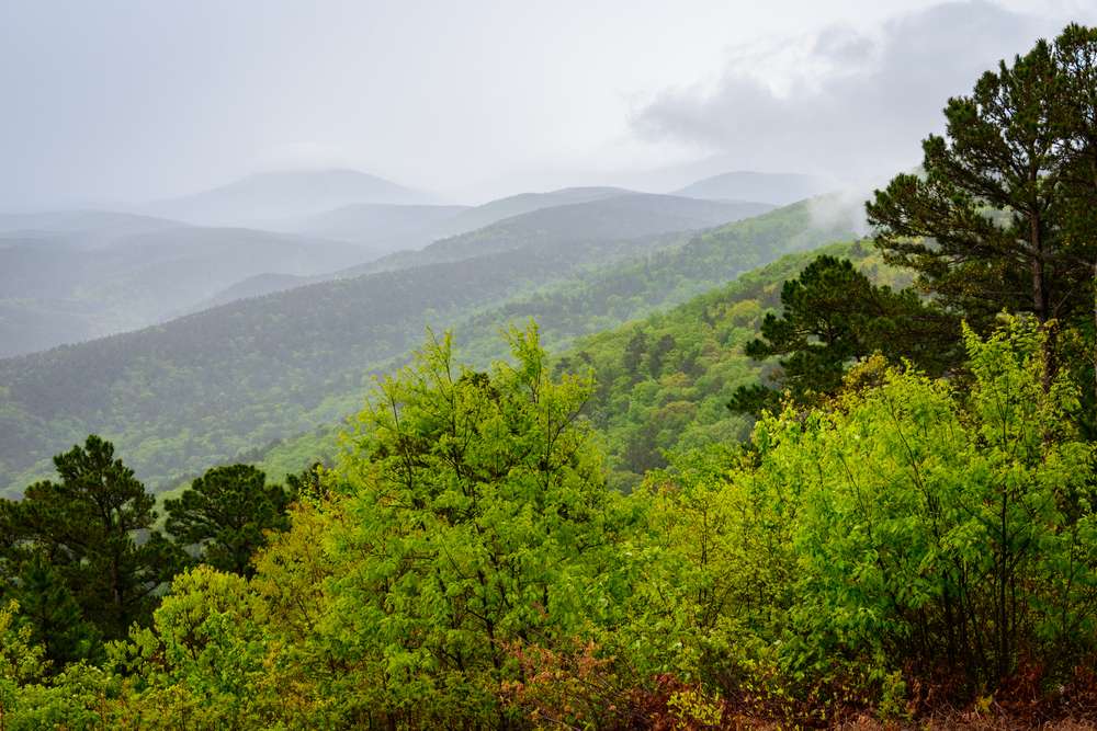 21 Forests With Unexplainable Rules Locals Actually Follow 12 shutterstock 303678497