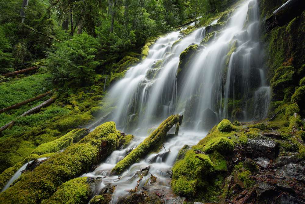 21 Scenic U.S. Waterfalls You Can Hike to Without the Crowds 4 shutterstock 519739456