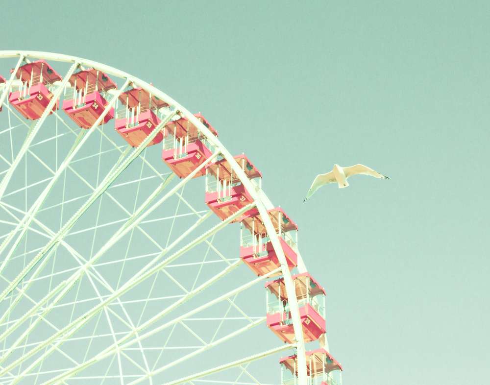 18 Abandoned Amusement Parks That Will Haunt You 24 18 Abandoned Amusement Parks That Will Haunt You