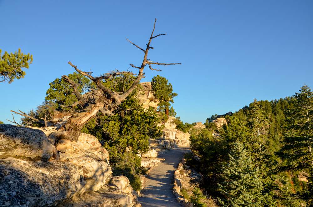 20 U.S. Hiking Trails That End Somewhere You Didn’t Expect 3 shutterstock 687840460
