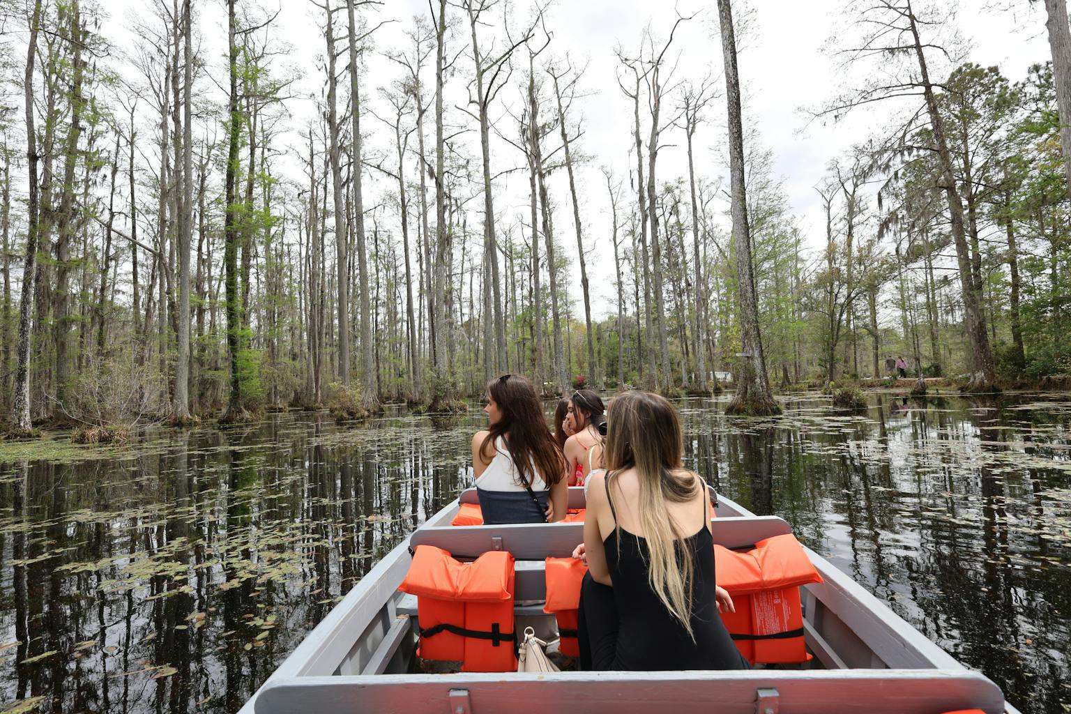 25 American Lagoons and Swamps Locals Warn You Not to Explore 24 experience a tranquil boat ride through a serene swamp landscape in south carolina. 32322299