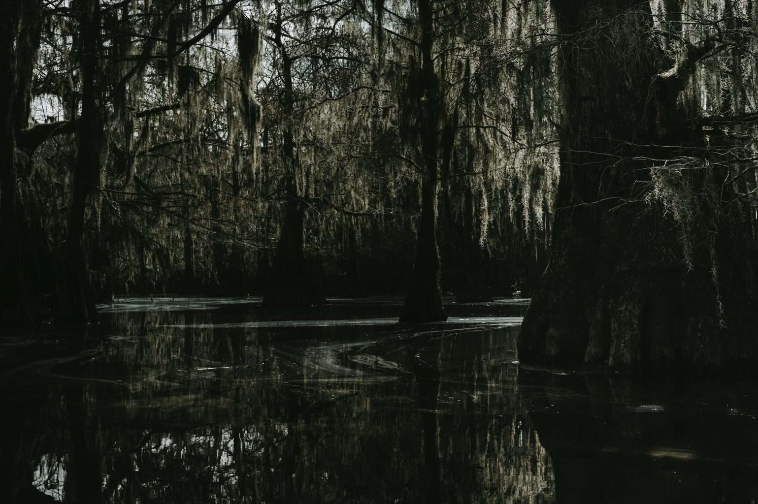25 American Lagoons and Swamps Locals Warn You Not to Explore 13 pexels alfomedeiros 11573495