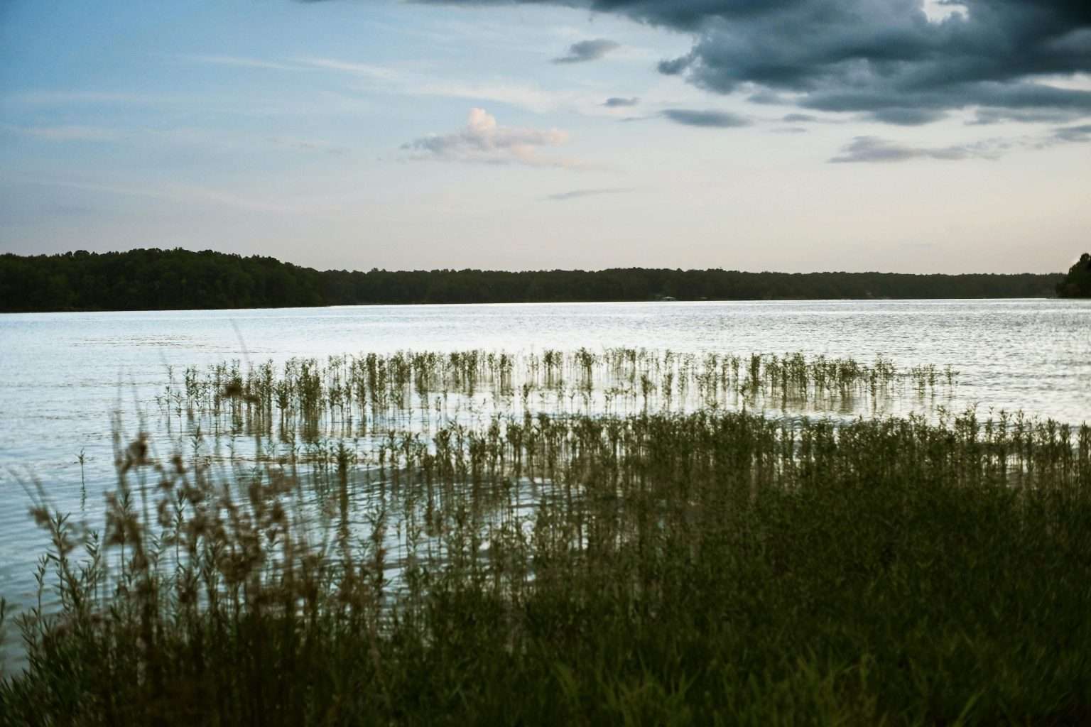 25 American Lagoons and Swamps Locals Warn You Not to Explore 12 pexels chris alo 3379138 13004499