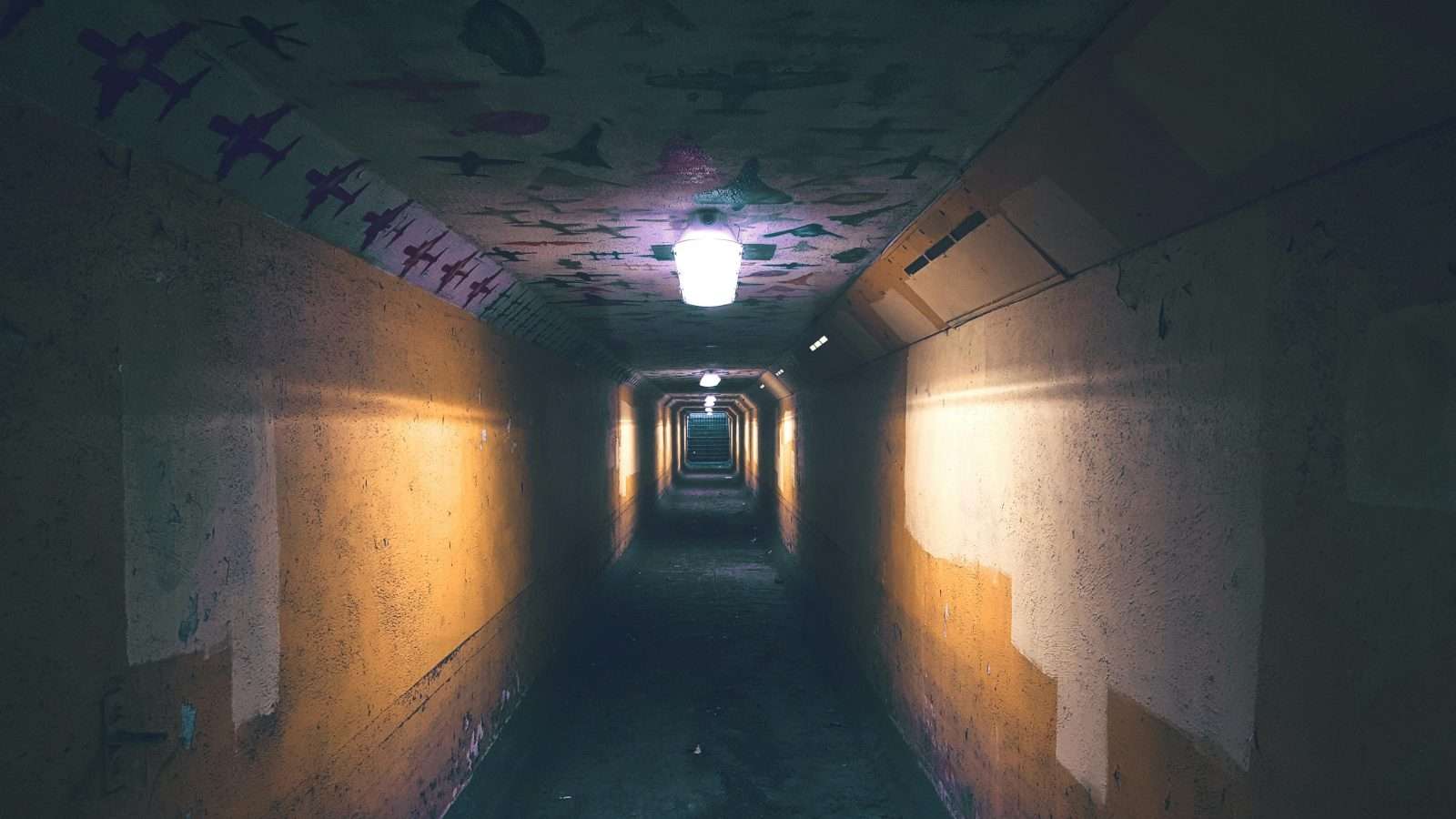 18 Creepy U.S. Tunnels You Can Walk Through If You’re Brave Enough 17 pexels ibrahimboran 263789 1