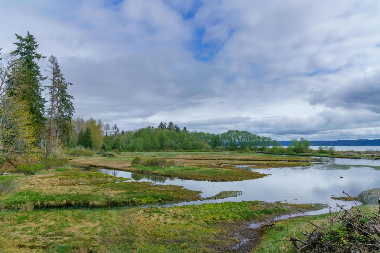 25 American Lagoons and Swamps Locals Warn You Not to Explore 10 pexels john callery 3749962 6208027