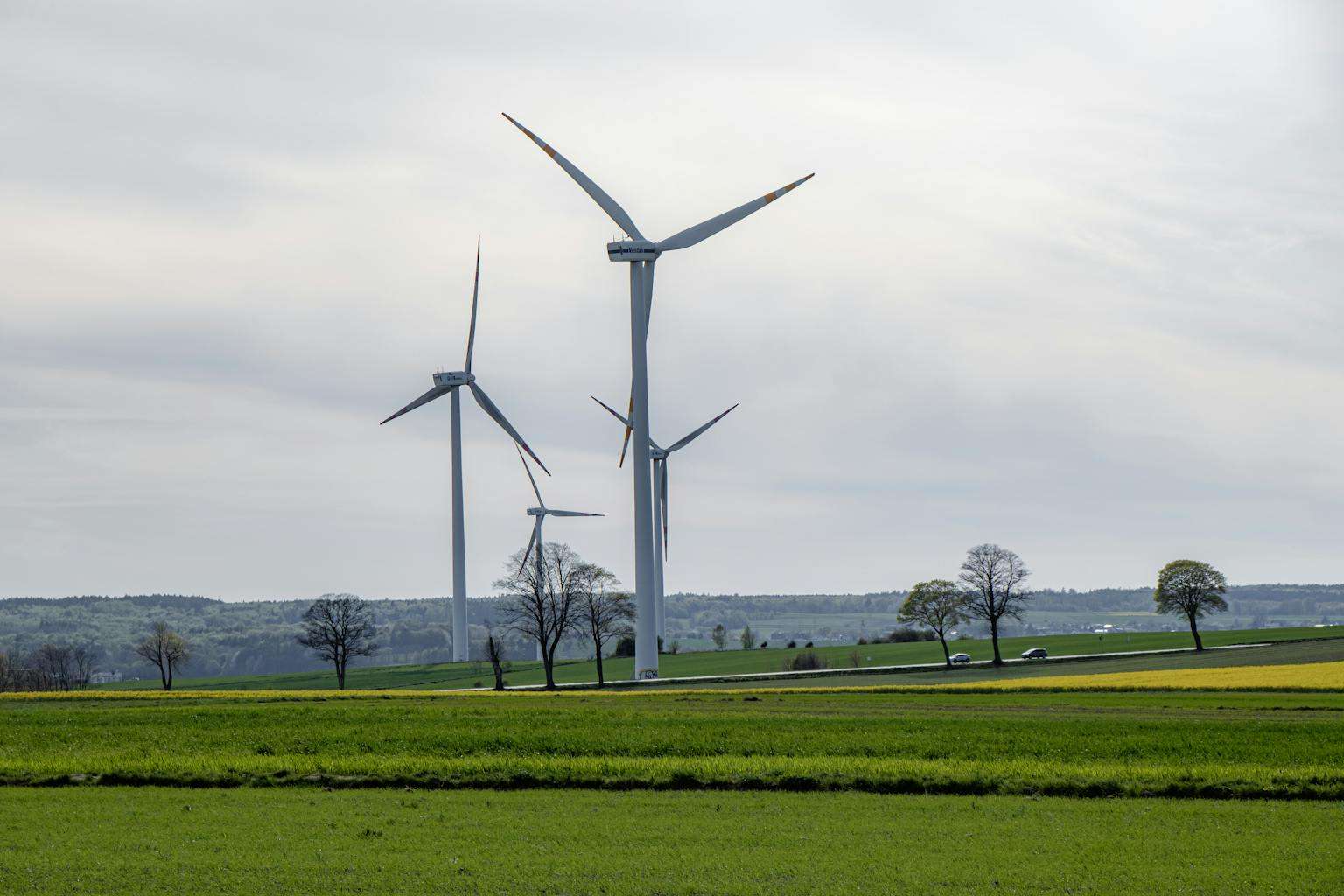 20 American Disaster Towns Forever Marked by One Terrifying Day 9 Scenic view of wind turbines in a green field, symbolizing renewable energy.