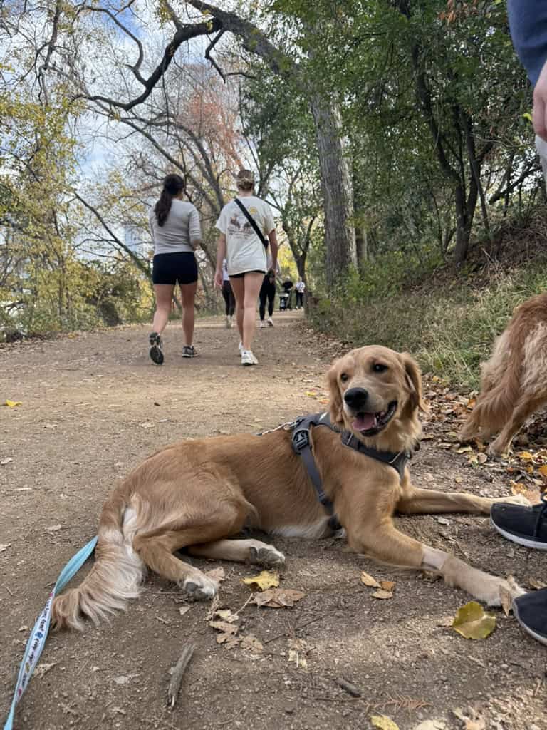Explore Something New This Memorial Day Weekend — With or Without Travel 3 Austin, Texas - Ann and Roy Butler Hike-and-Bike Trail - Golden Retriever