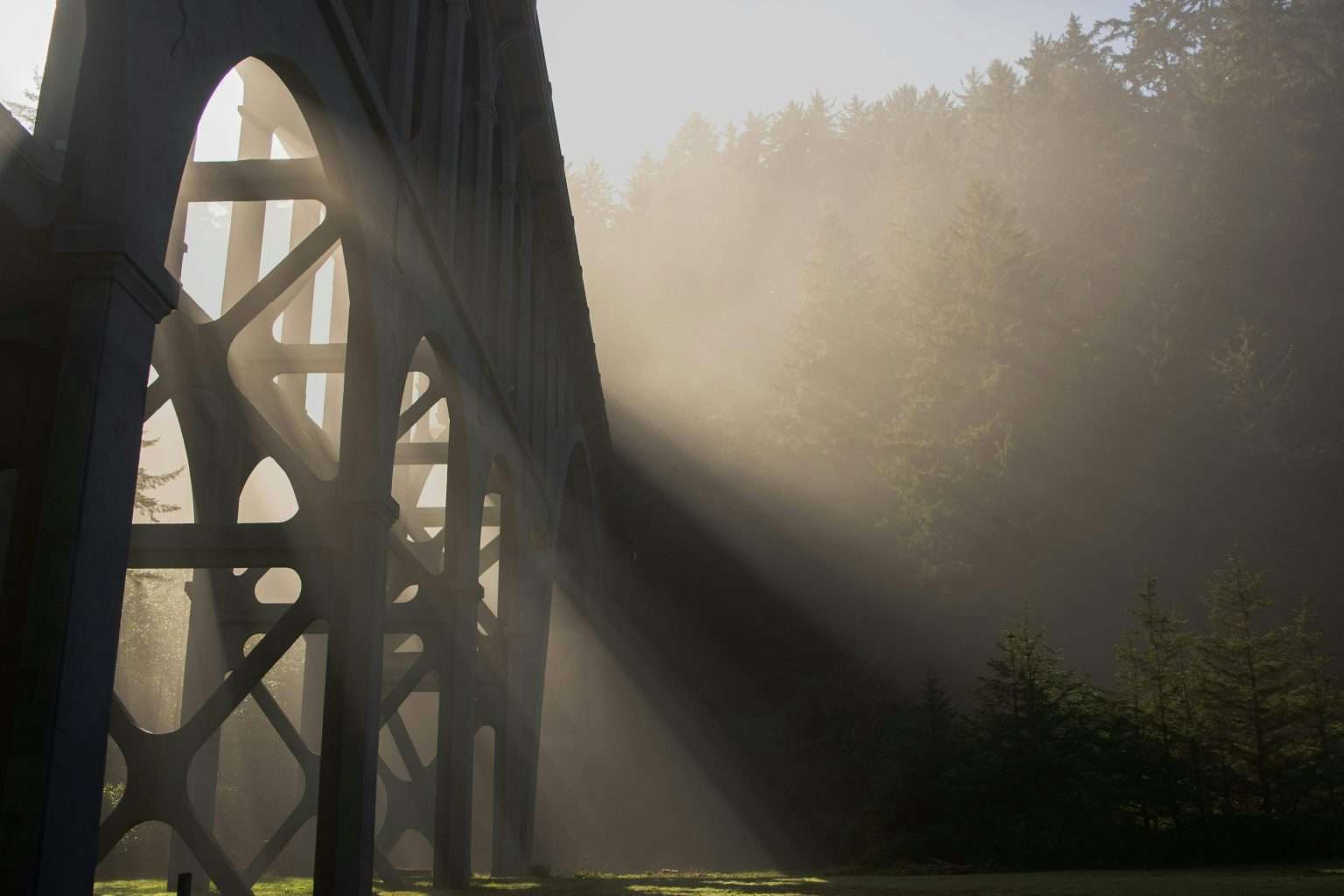 20 U.S. Bridges So Terrifying Locals Refuse to Cross Them at Night 4 pexels alexmoliski 28468696 1