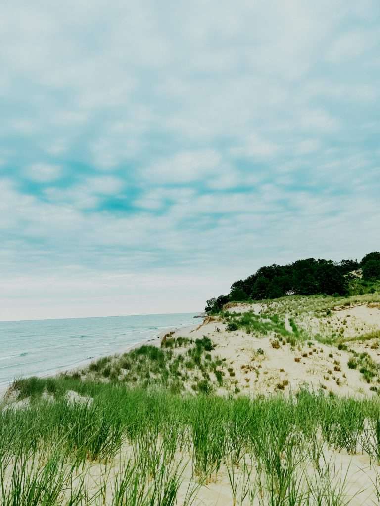 22 American Subdivisions Built on Land Locals Said Shouldn’t Be Touched 19 pexels quionie gaban 11920925 12730392
