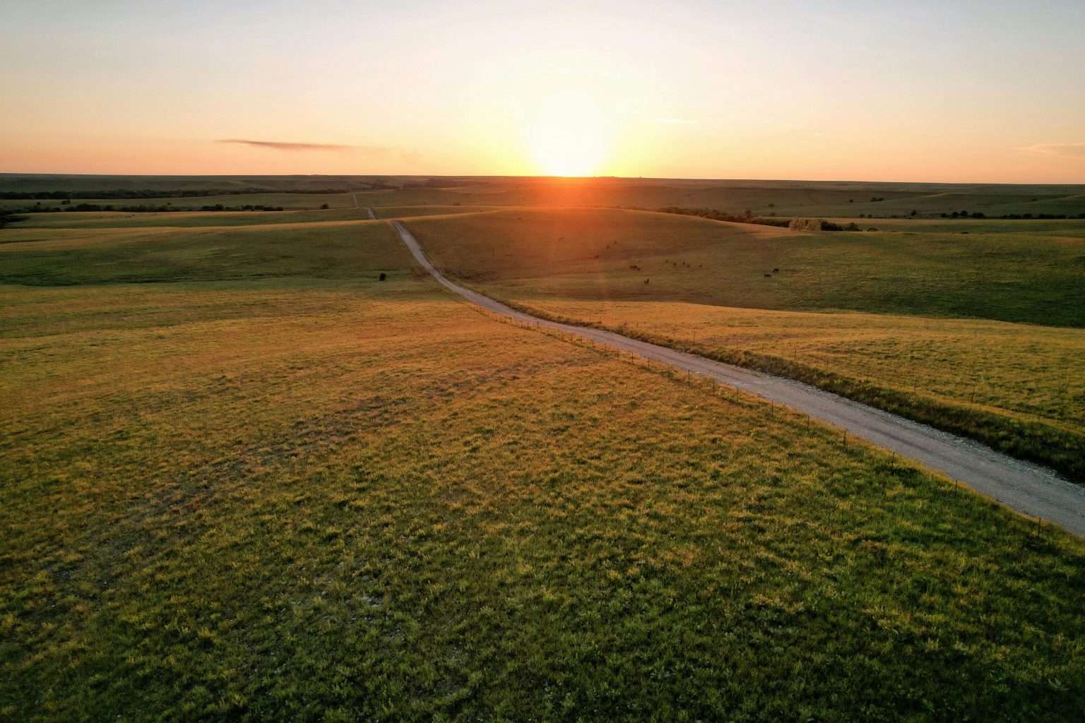 22 American Subdivisions Built on Land Locals Said Shouldn’t Be Touched 22 pexels taylor hunt 605291 17935037