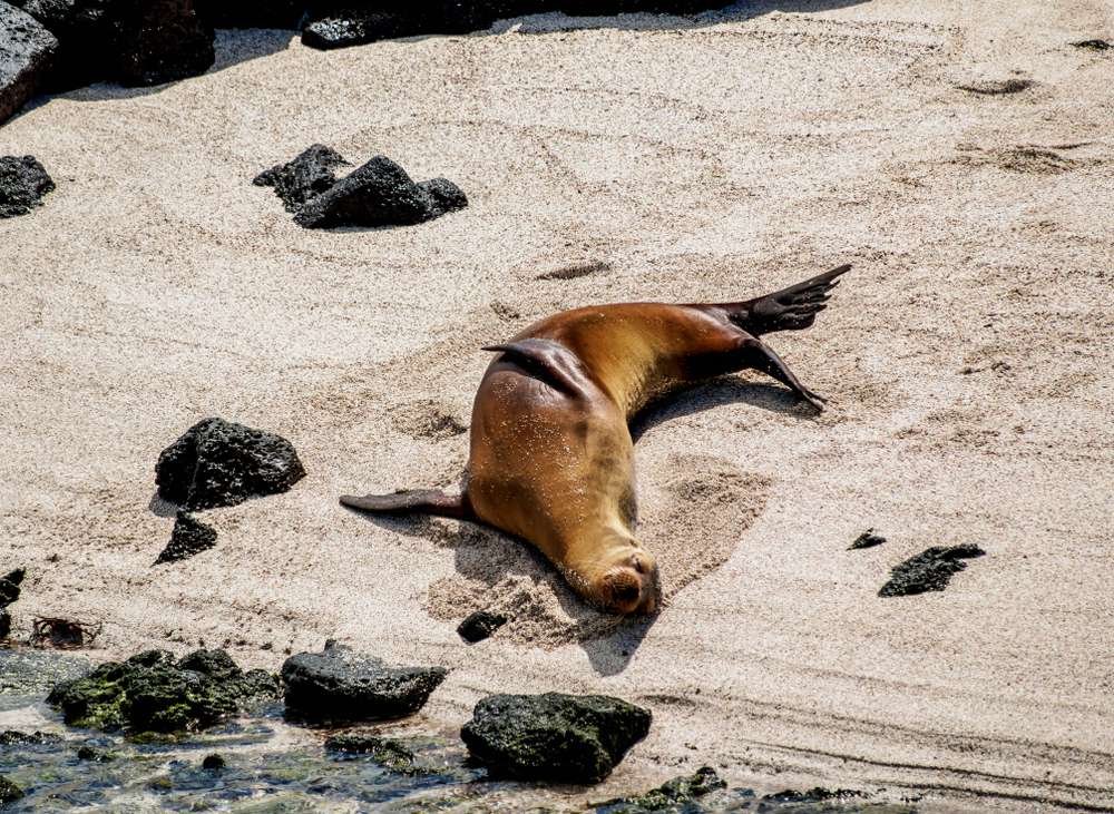 23 Remote Islands You Can Visit That Feel Like the End of the World 13 shutterstock 1336433099