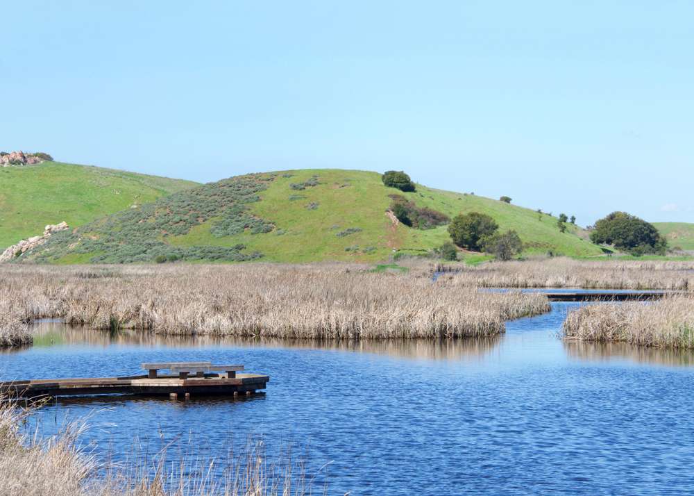 22 American Subdivisions Built on Land Locals Said Shouldn’t Be Touched 17 shutterstock 1345857110