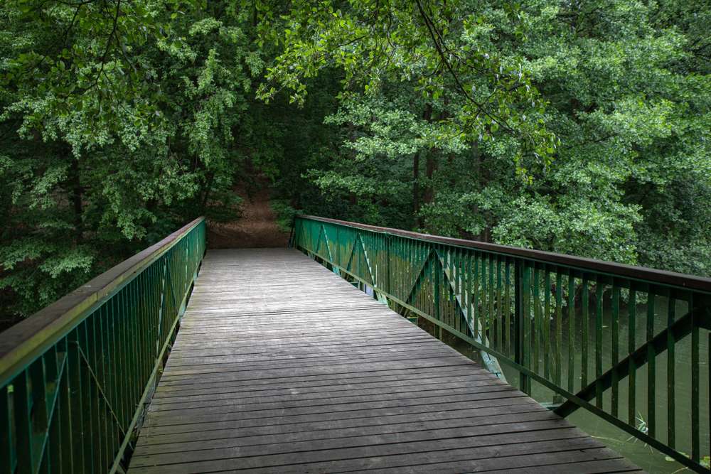 21 Forests With Unexplainable Rules Locals Actually Follow 5 shutterstock 1437124784