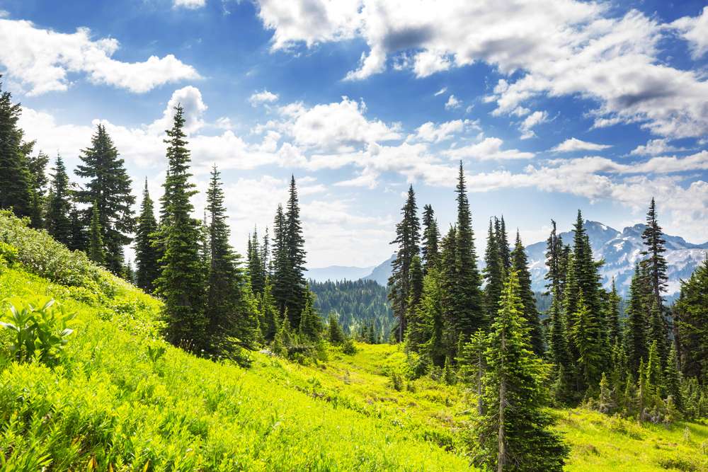 22 American Subdivisions Built on Land Locals Said Shouldn’t Be Touched 13 shutterstock 1637861752