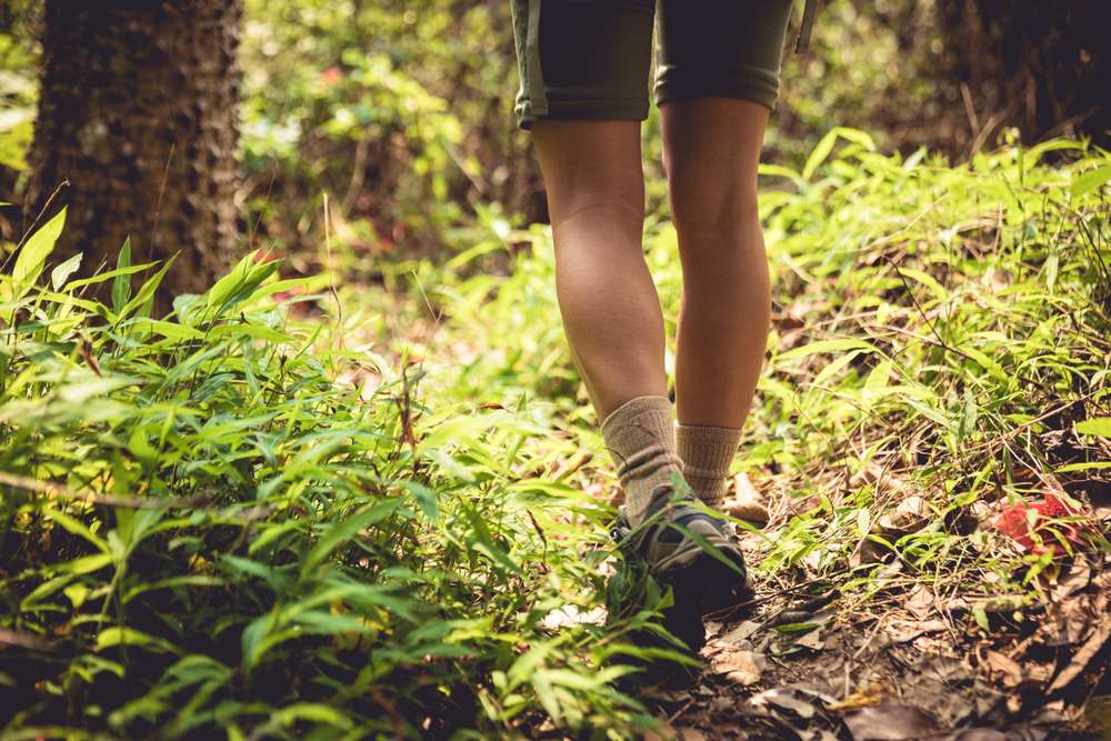 26 Hiking Trails That Start Easy and Turn Brutal Fast 25 shutterstock 1672850068