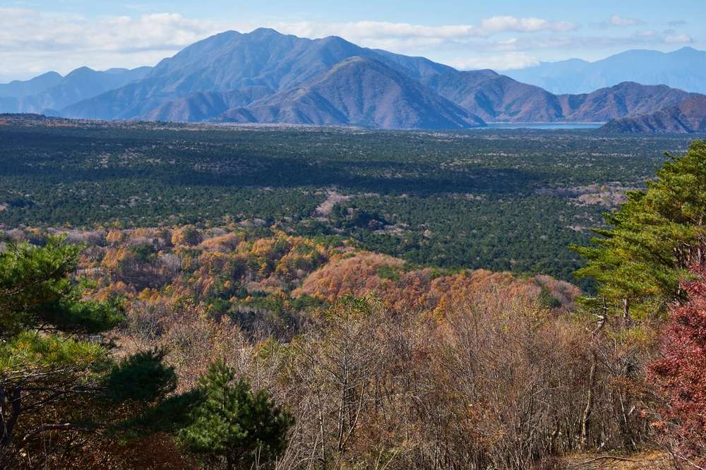 21 Forests With Unexplainable Rules Locals Actually Follow 3 shutterstock 2572796431