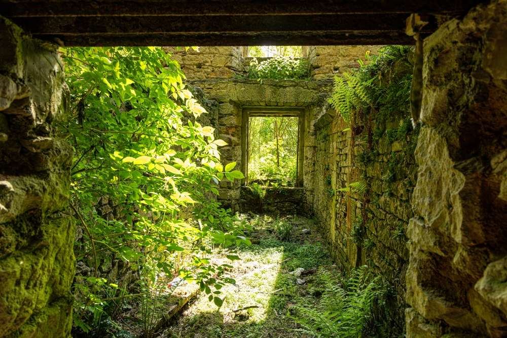 22 Abandoned Mansions With Stories That Don’t Add Up 22 22 Abandoned Mansions With Stories That Don’t Add Up