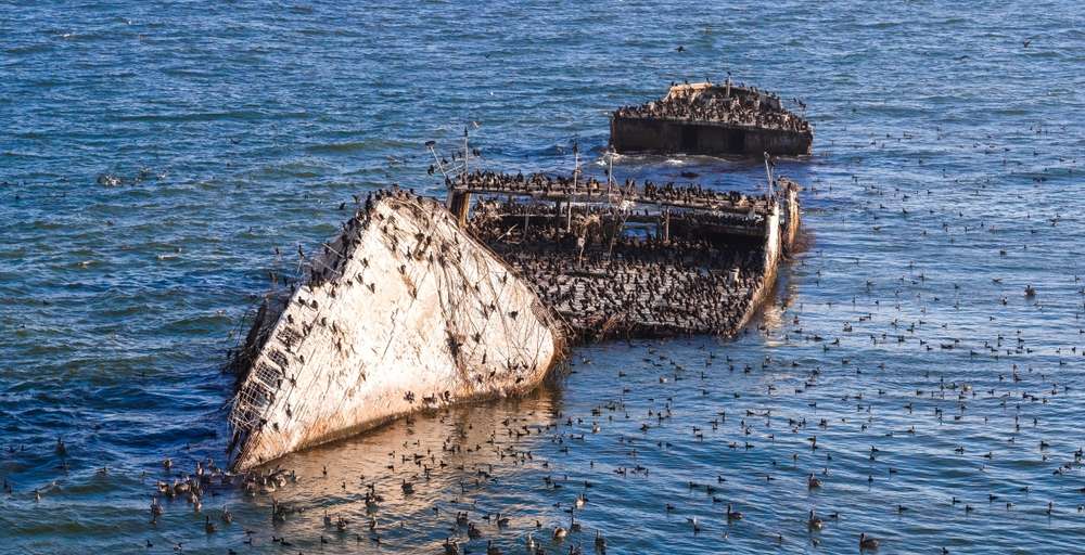 19 Shipwreck Sites You Can Still See From Shore 2 shutterstock 2690348135
