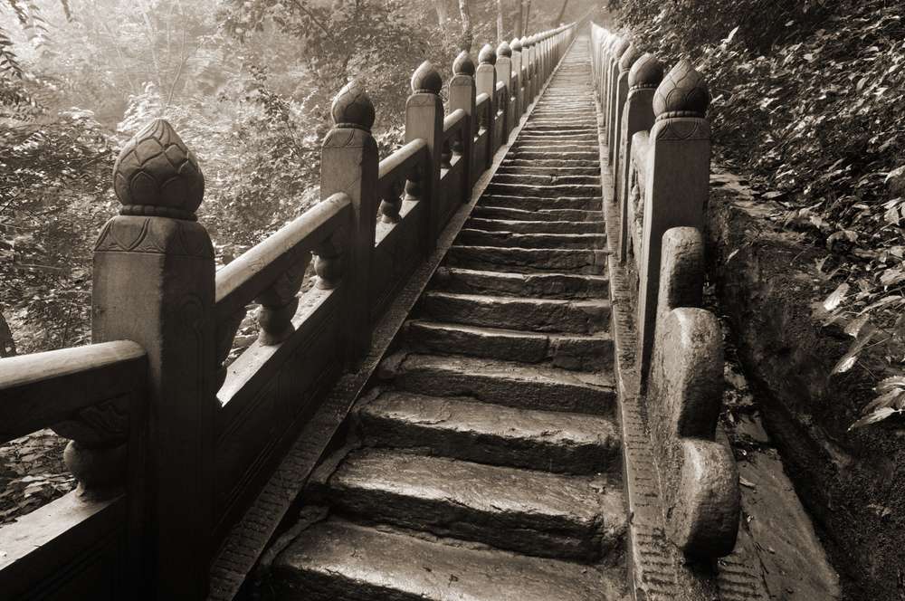 21 Staircases, Ladders, and Walkways That Feel Like a Bad Idea 20 shutterstock 711351196