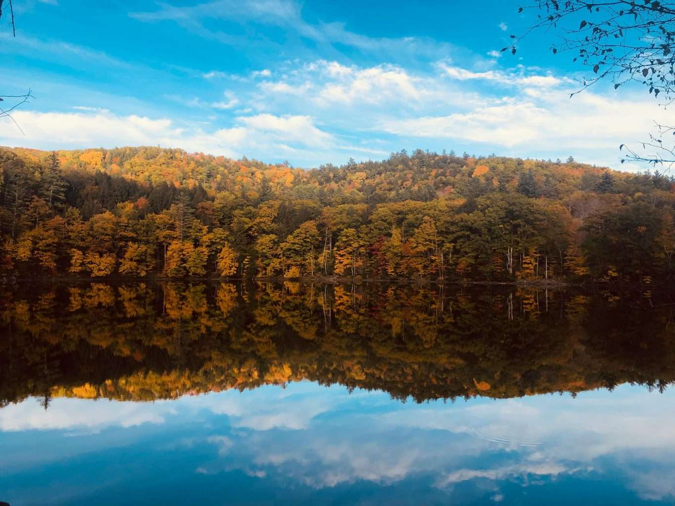 23 American Escapes So Peaceful They Feel Almost Un-American 23 pexels ashley wang 77734 3078560