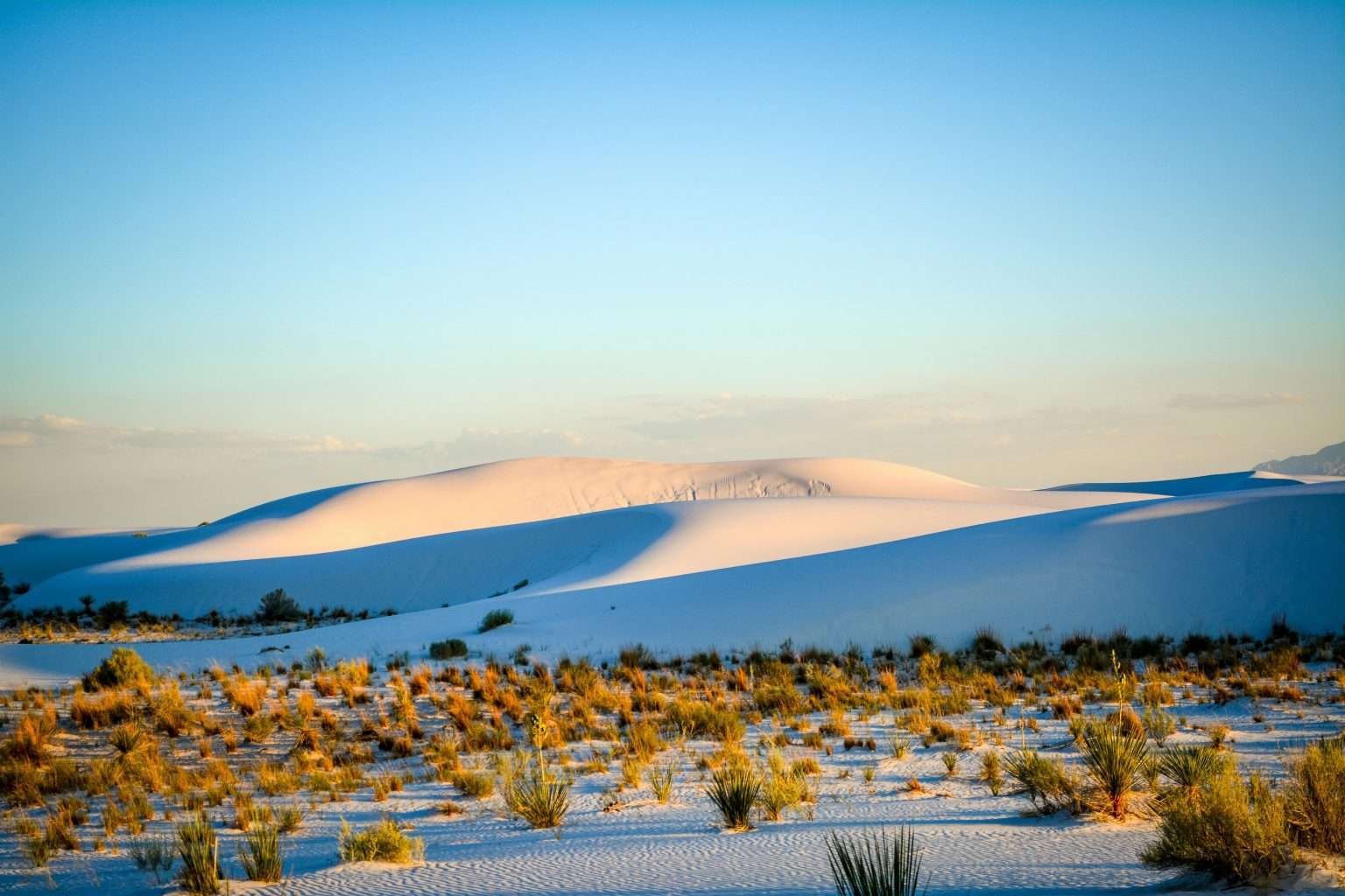 23 American Escapes So Peaceful They Feel Almost Un-American 9 pexels will 74514991 8536869