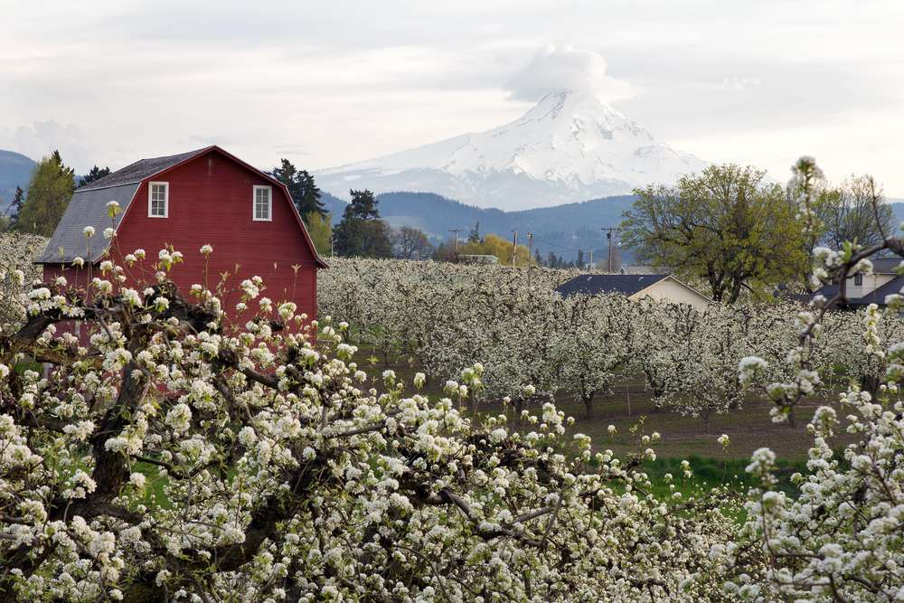 25 American Towns So Beautiful They Feel Almost Too Good to Be True 22 shutterstock 100803469