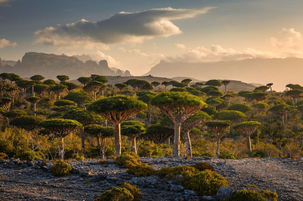 25 Places You’re Allowed to Visit… But Only If You Follow Strange Rules 13 shutterstock 2494420343
