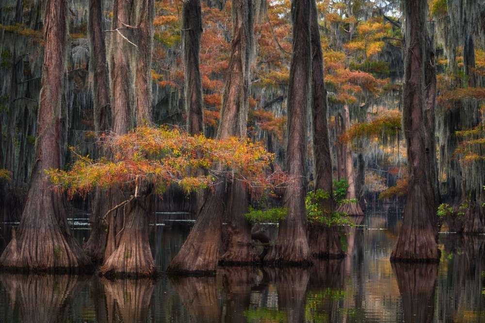 21 American Hidden Gems That Will Leave You Speechless 13 21 American Hidden Gems That Will Leave You Speechless