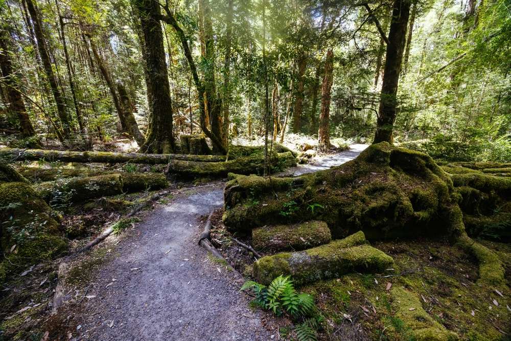 22 Rivers So Wild They’ve Earned Nicknames That Sound Like Threats 16 shutterstock 2591985785