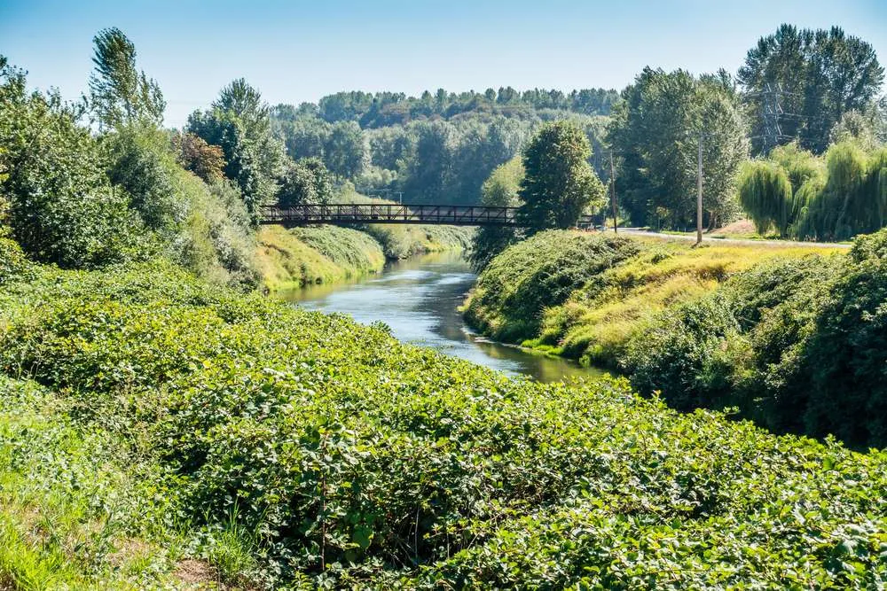 21 Small U.S. Towns That Feel More Special Than Any Big City 4 shutterstock 308608613