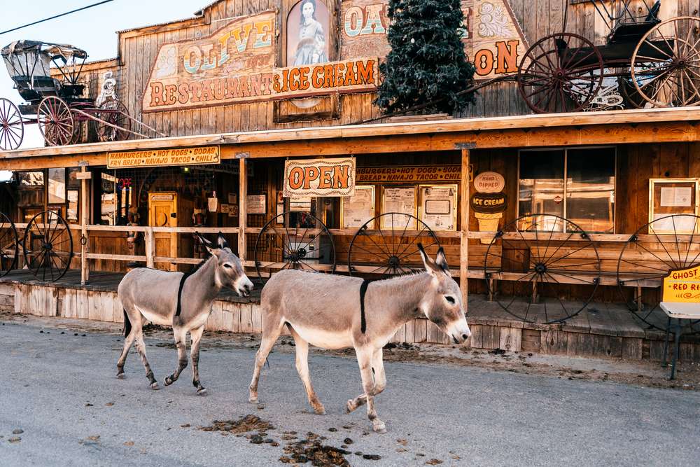 24 U.S. Towns So Strange You’ll Swear They’re Not in America 20 24 U.S. Towns So Strange You’ll Swear They’re Not in America