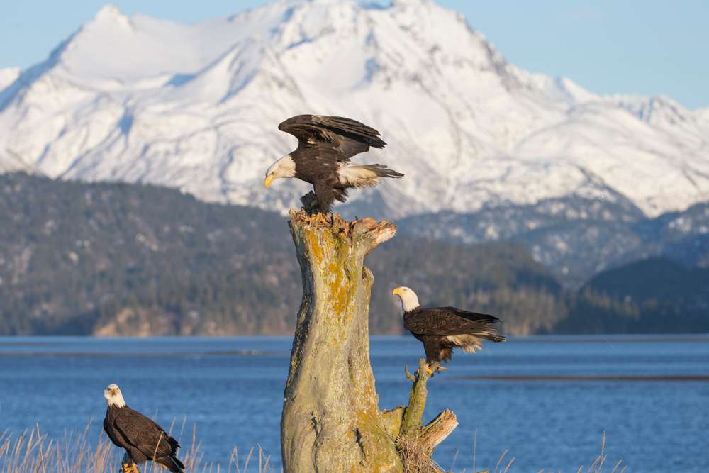 25 American Escapes So Quiet and Beautiful They Feel Like a Dream 11 shutterstock 1274631082